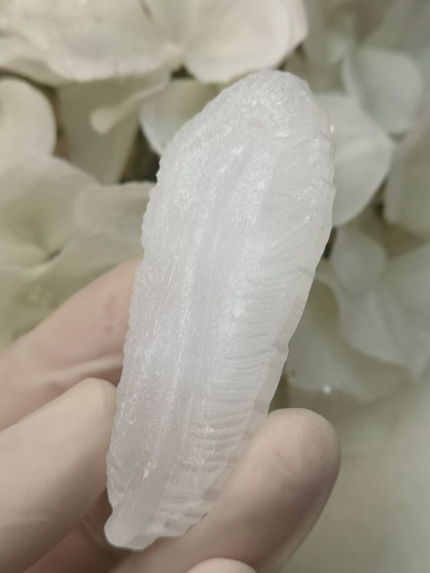 Selenite Edelstein Feder Design