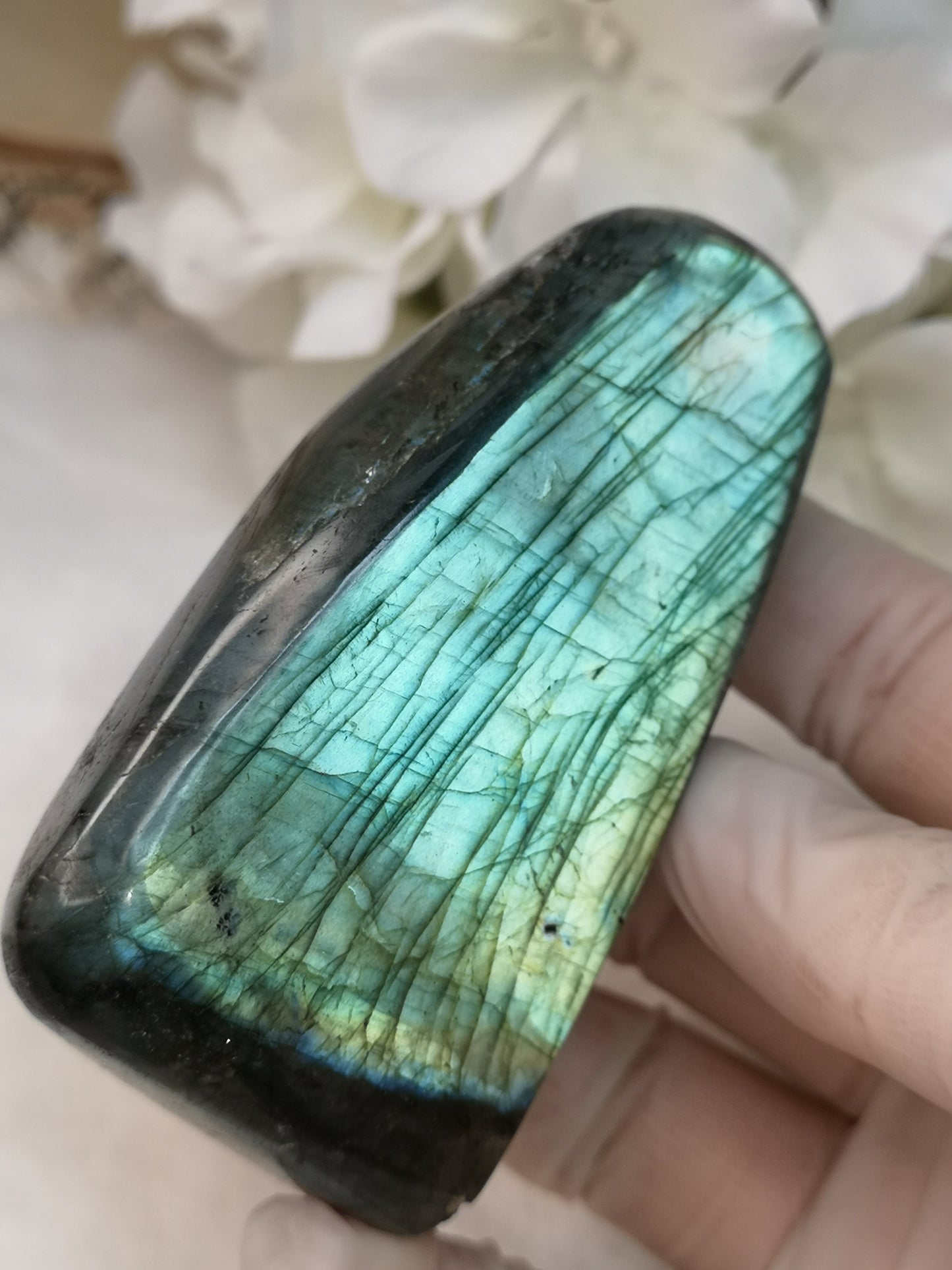 Labradorite Edelstein 
Freiform