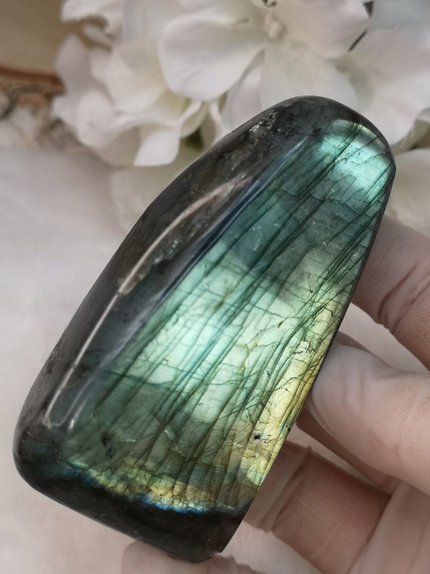 Labradorite Edelstein 
Freiform