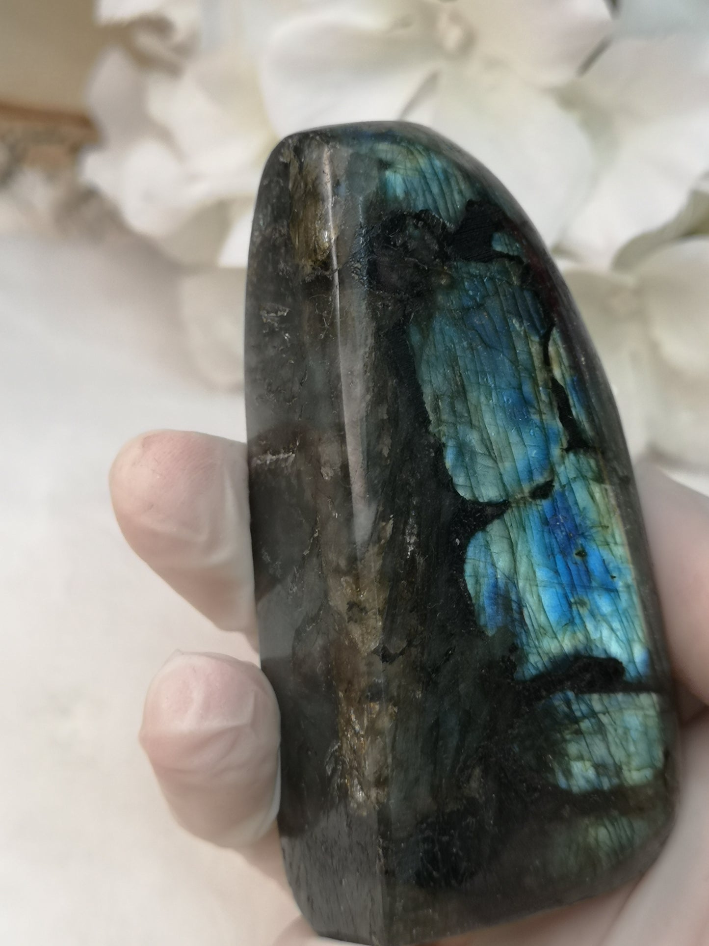 Labradorite Edelstein 
Freiform